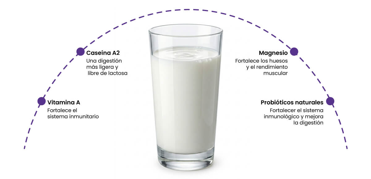 Imagen de Beneficios de la Leche