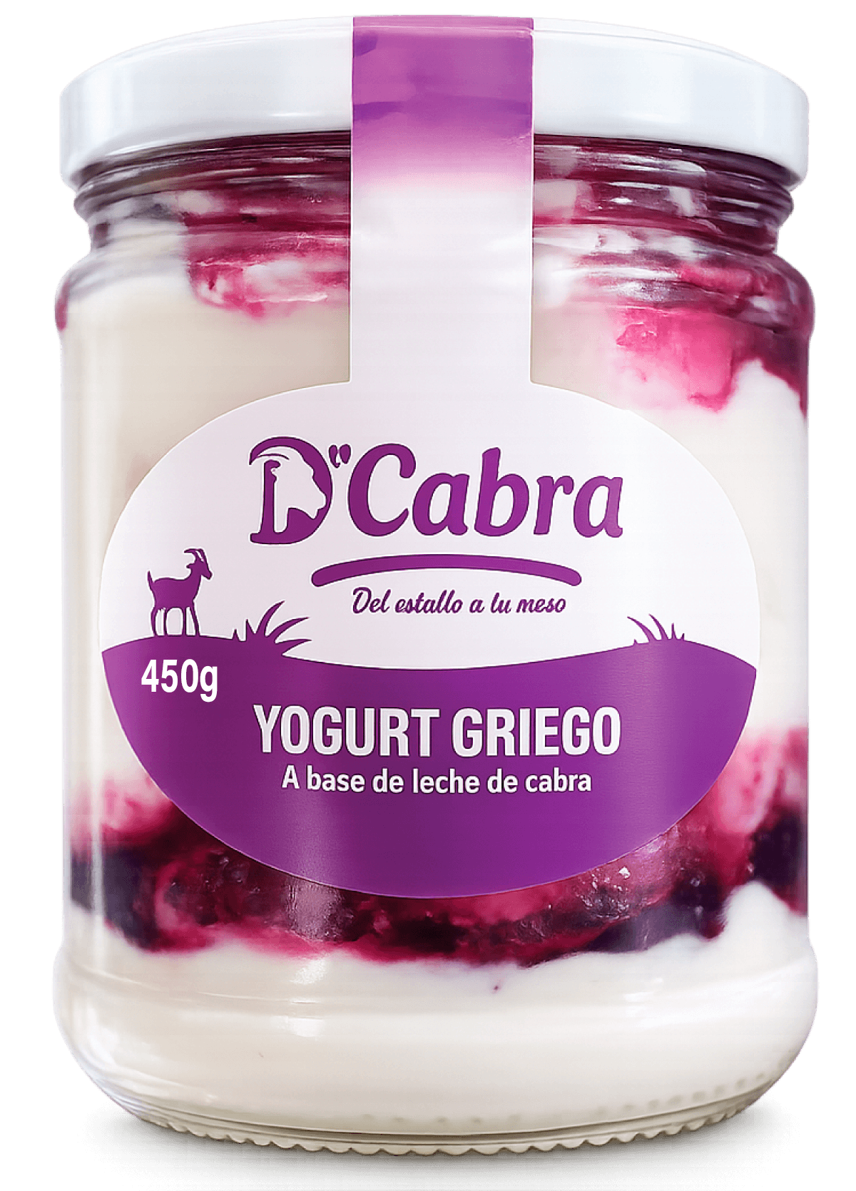 Yogurt Griego + pulpa de Arándano